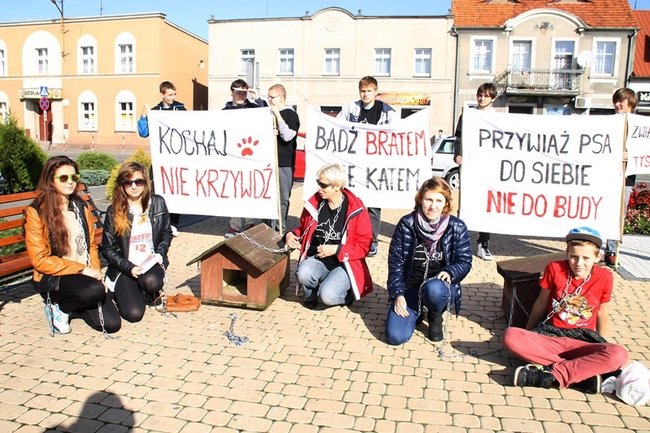 Przykuli się łańcuchami - zdjęcia