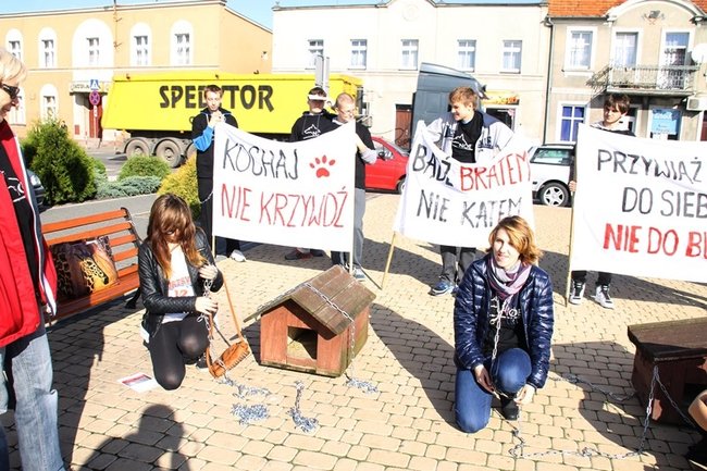 Przykuli się łańcuchami - zdjęcia