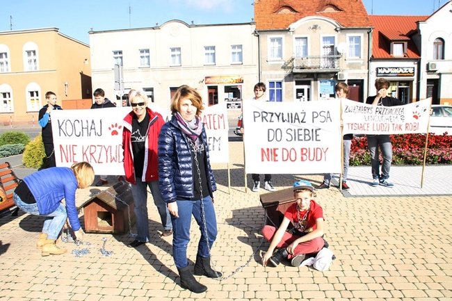 Przykuli się łańcuchami - zdjęcia