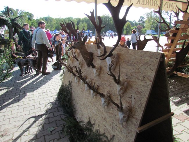 Był bigos i pieczeń z dzika- zdjęcia