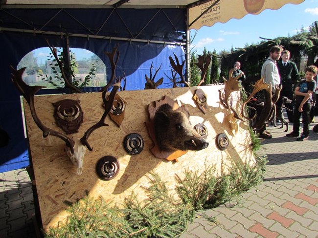 Był bigos i pieczeń z dzika- zdjęcia