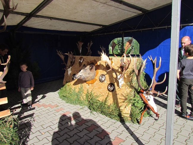 Był bigos i pieczeń z dzika- zdjęcia