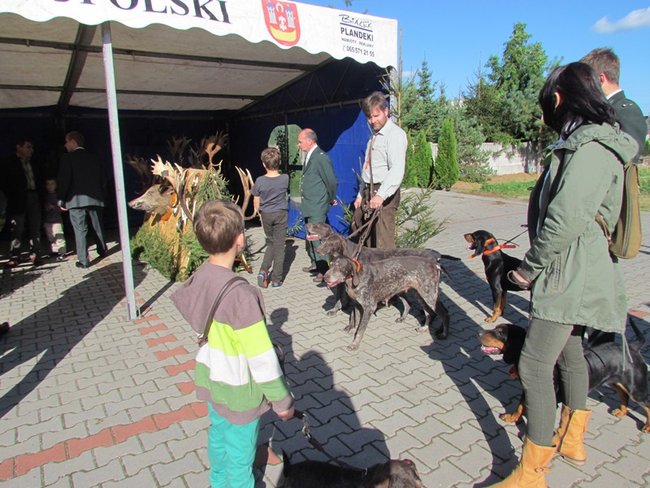 Był bigos i pieczeń z dzika- zdjęcia