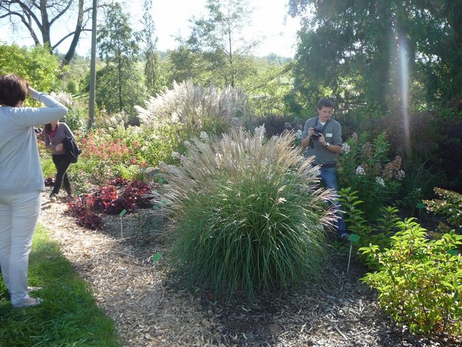 Jesień w jesieni życia - zdjęcia