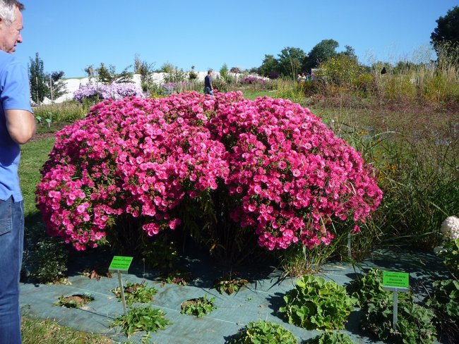 Jesień w jesieni życia - zdjęcia