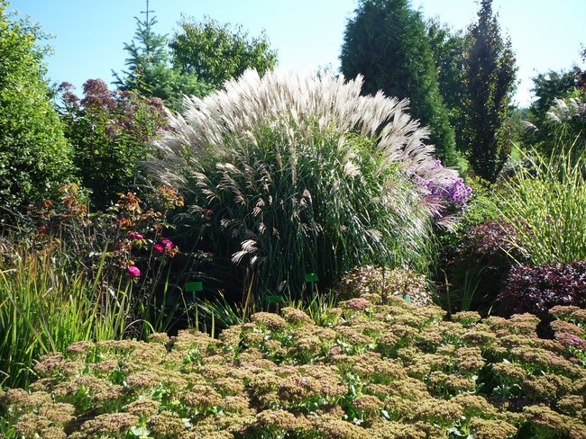 Jesień w jesieni życia - zdjęcia