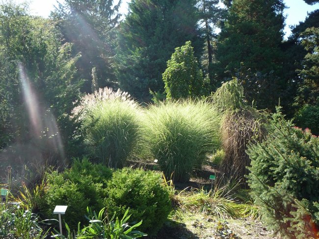 Jesień w jesieni życia - zdjęcia