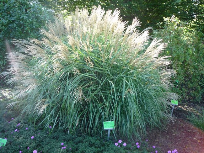 Jesień w jesieni życia - zdjęcia