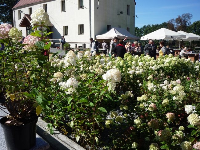 Jesień w jesieni życia - zdjęcia