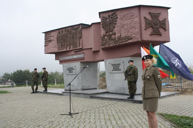 Meta na Górze Zamkowej ? zdjęcia