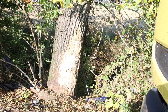 Potrzebny był helikopter - zdjęcia