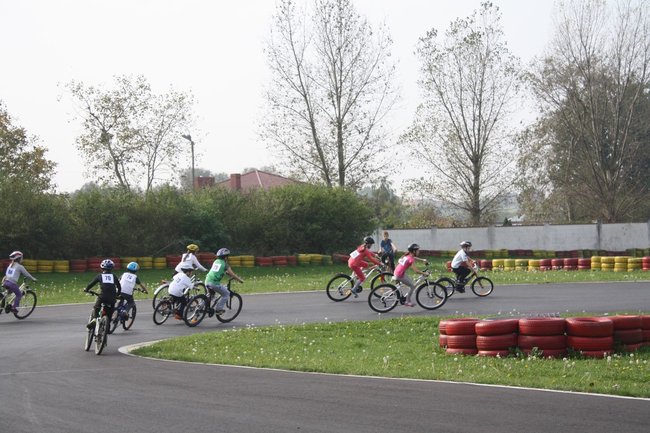 Jazda za mistrzem - zdjęcia