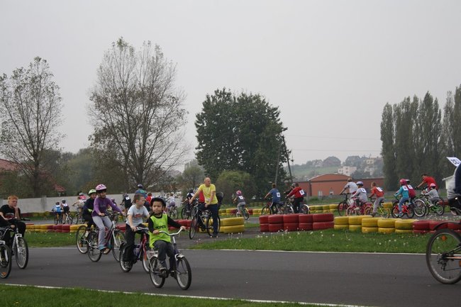 Jazda za mistrzem - zdjęcia