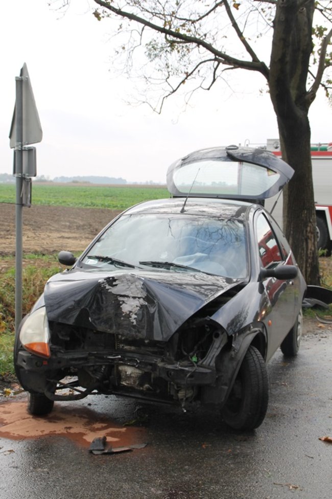 Wpadła w poślizg, uderzyła w drzewo