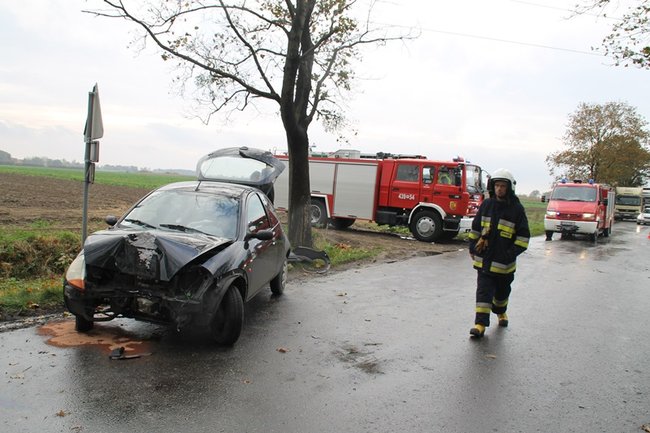 Wpadła w poślizg, uderzyła w drzewo