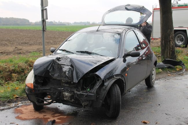 Wpadła w poślizg, uderzyła w drzewo