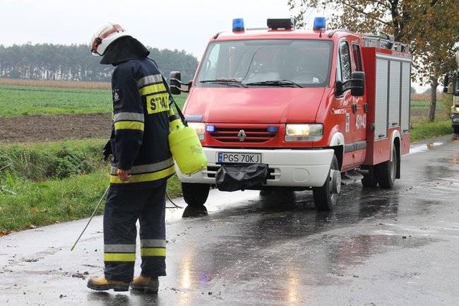 Wpadła w poślizg, uderzyła w drzewo