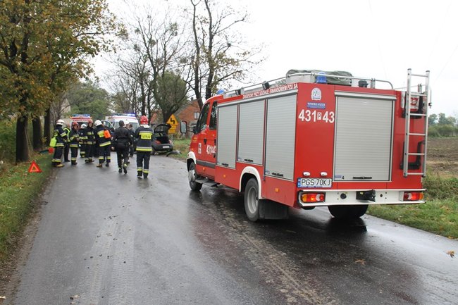 Wpadła w poślizg, uderzyła w drzewo