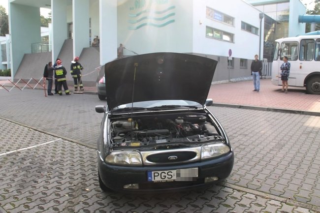 Pomyliła gaz z hamulcem? - zdjęcia