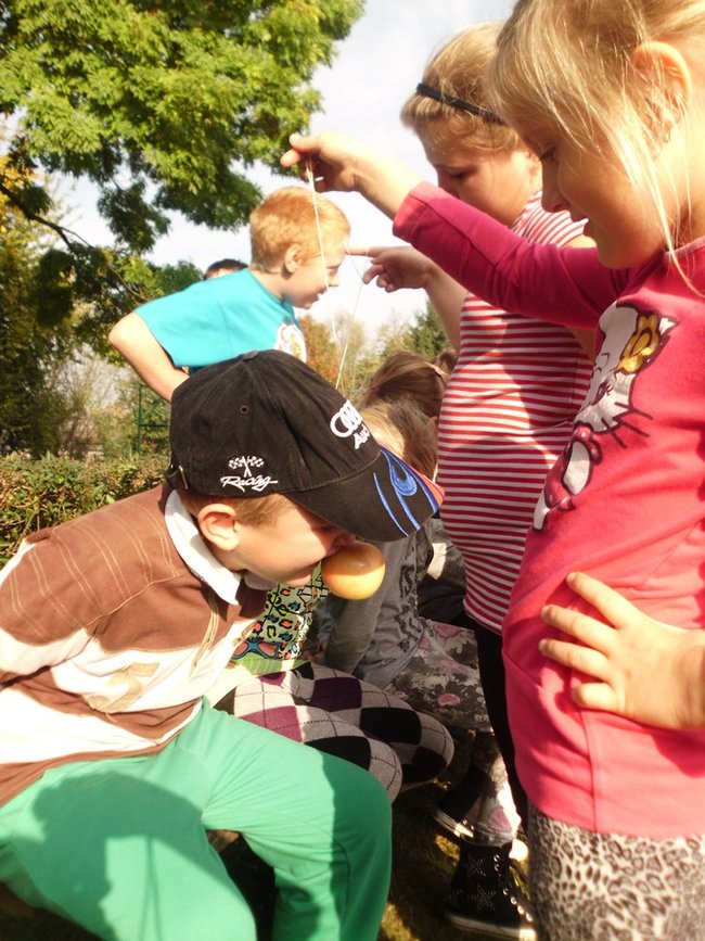 Królowało jabłko - zdjęcia