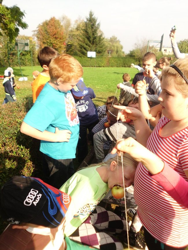 Królowało jabłko - zdjęcia