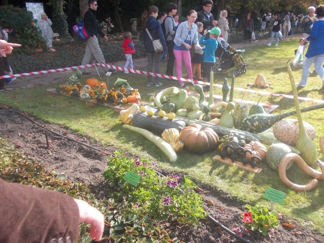 Karolina waży 598 kg! - zdjęcia