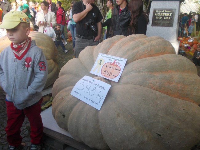 Karolina waży 598 kg! - zdjęcia