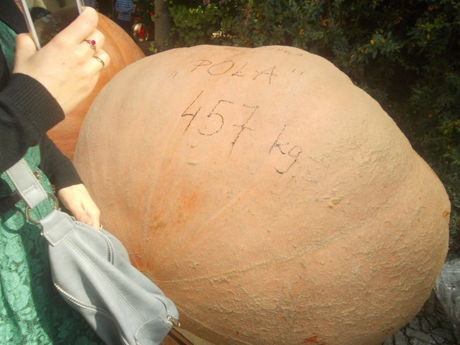 Karolina waży 598 kg! - zdjęcia