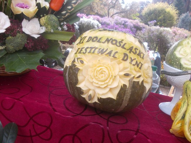 Karolina waży 598 kg! - zdjęcia