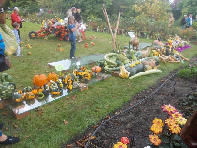 Karolina waży 598 kg! - zdjęcia