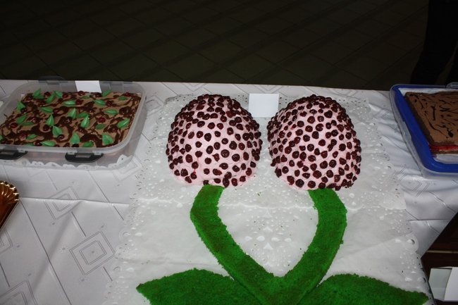 We własnym gronie - zdjęcia