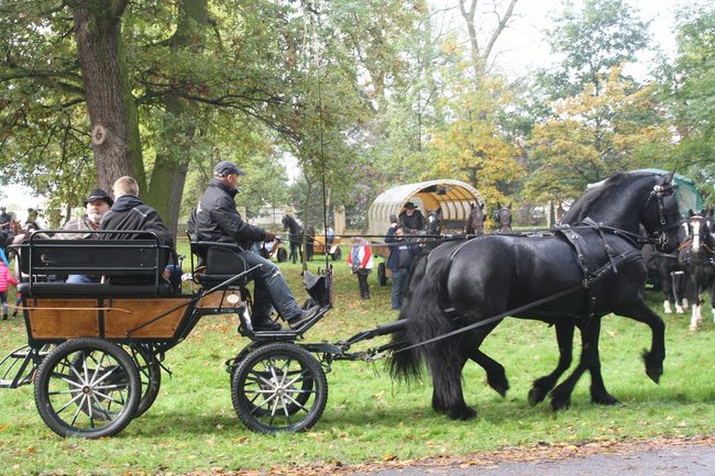 Brać łowiecka i koniarska - zdjęcia