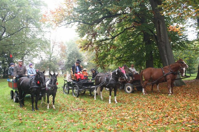 Brać łowiecka i koniarska - zdjęcia