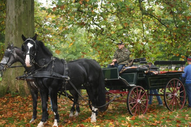 Brać łowiecka i koniarska - zdjęcia