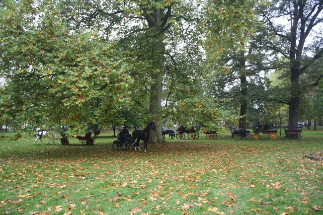 Brać łowiecka i koniarska - zdjęcia