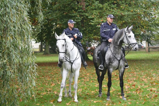 Brać łowiecka i koniarska - zdjęcia