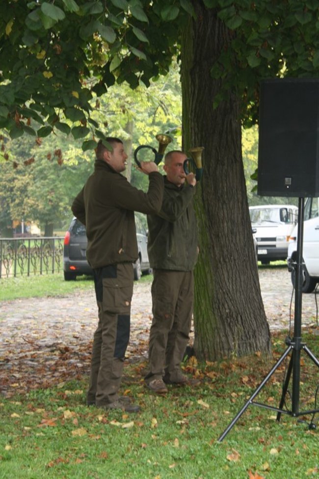 W pogoni za lisem - zdjęcia
