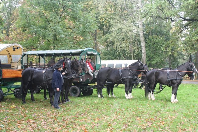 W pogoni za lisem - zdjęcia