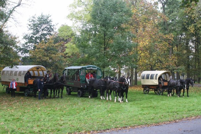 W pogoni za lisem - zdjęcia