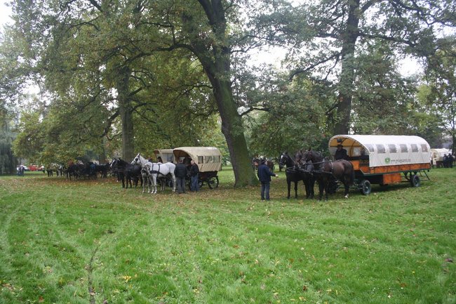 W pogoni za lisem - zdjęcia