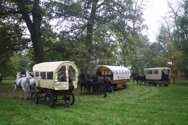 W pogoni za lisem - zdjęcia