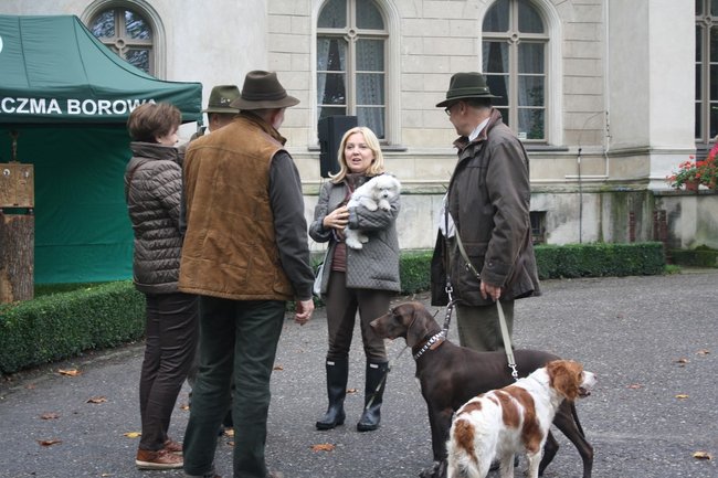 W pogoni za lisem - zdjęcia