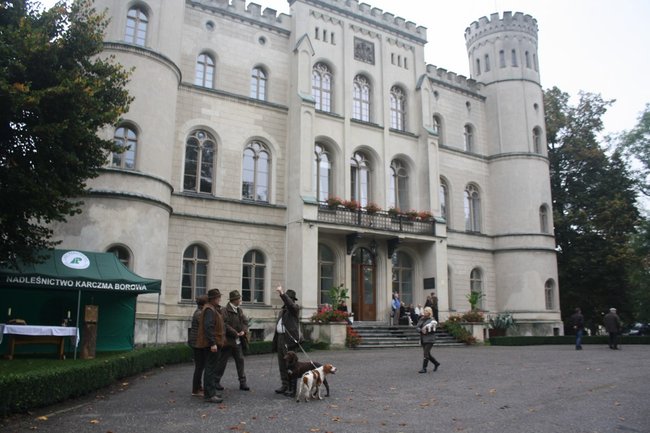 W pogoni za lisem - zdjęcia