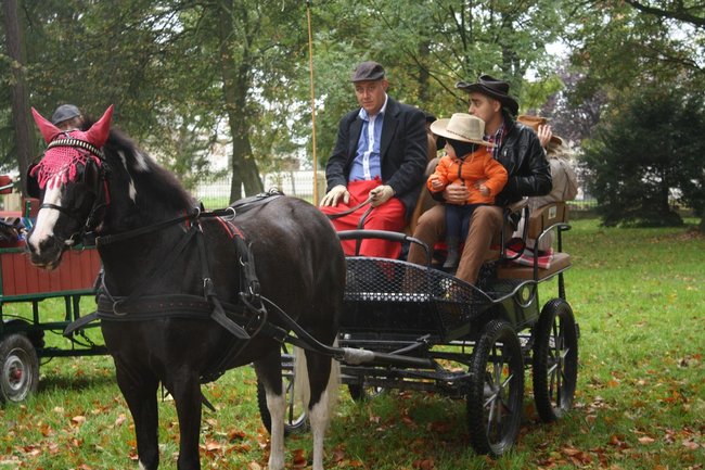 W pogoni za lisem - zdjęcia