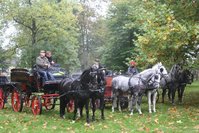 W pogoni za lisem - zdjęcia