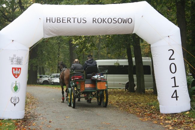 W pogoni za lisem - zdjęcia
