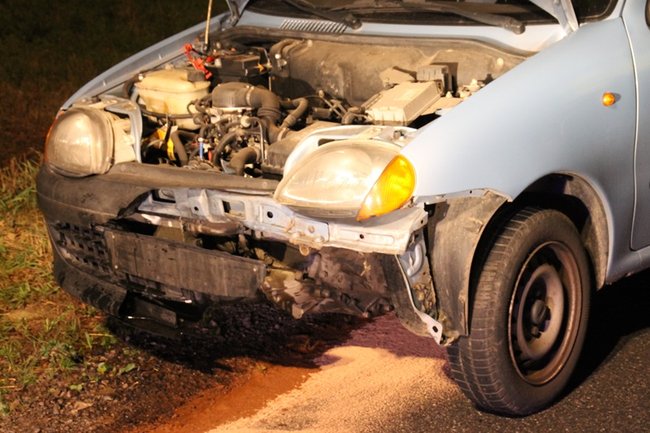 Najechała na stado dzików - zdjęcia