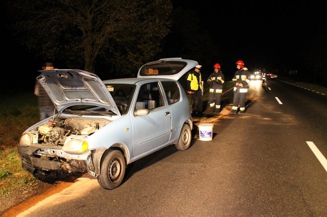 Najechała na stado dzików - zdjęcia