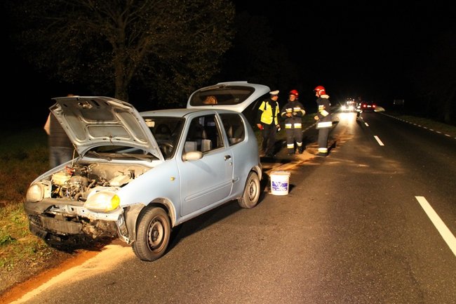 Najechała na stado dzików - zdjęcia
