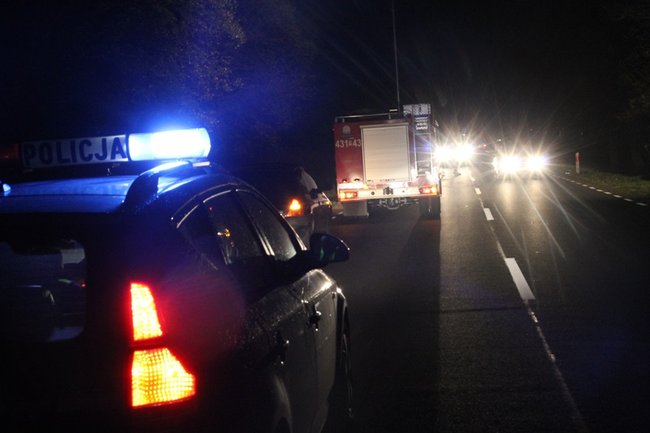 Najechała na stado dzików - zdjęcia